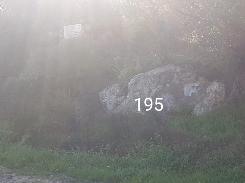 קובץ:195.jpeg