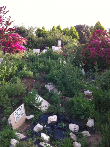 קובץ:2011.04.30-181810.674.iphone.jpg