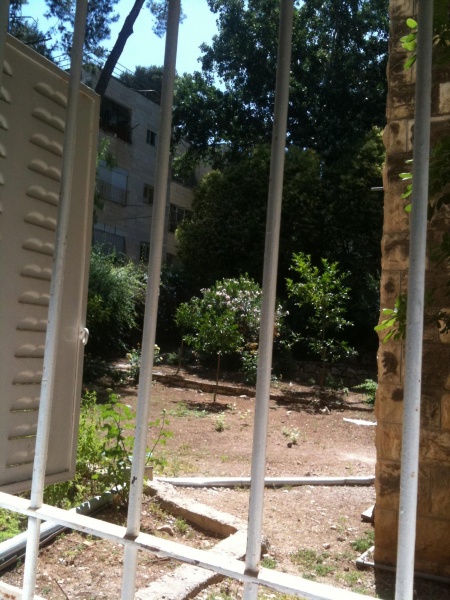 קובץ:2011.06.15-102528.192.iphone.jpg