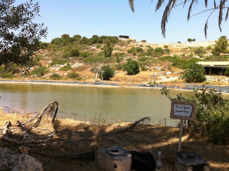 קובץ:2011.06.25-142900.598.iphone.jpg