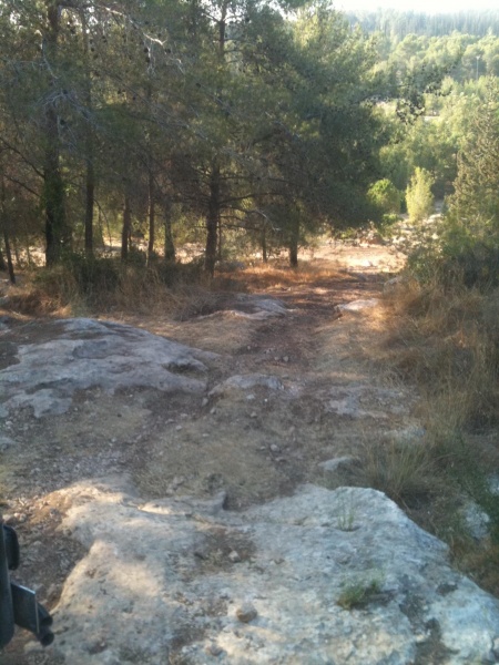 קובץ:2011.07.23-181148.432.iphone.jpg