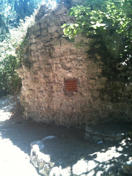 קובץ:2011.08.20-142652.88.iphone.jpg