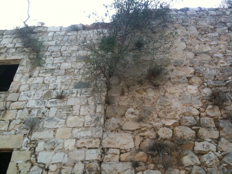 קובץ:2011.08.30-103546.396.iphone.jpg