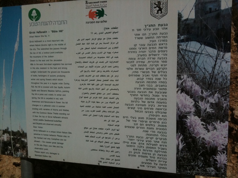 קובץ:2011.09.16-094644.414.iphone.jpg