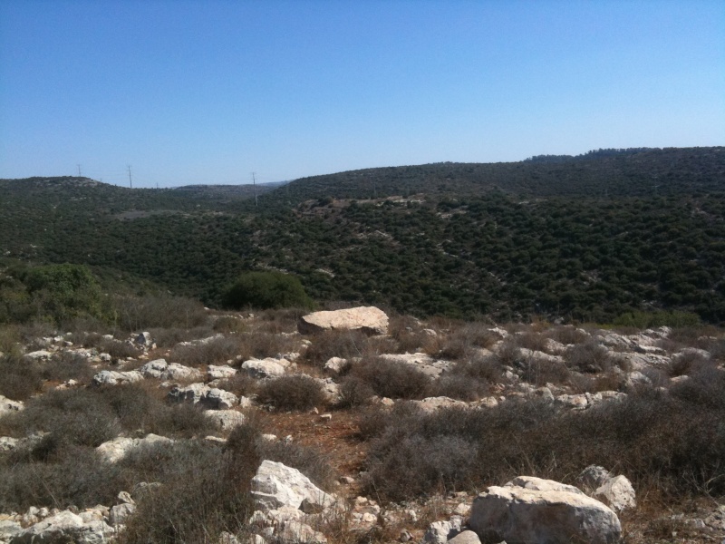 קובץ:2011.10.14-123828.251.iphone.jpg