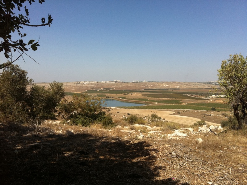 קובץ:2011.10.9-121000.807.iphone.jpg