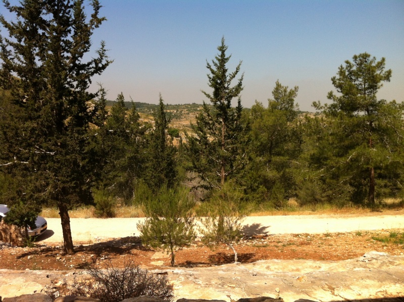 קובץ:2012.04.25-103445.845.iphone.jpg