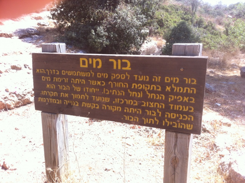 קובץ:2012.07.28-111922.253.iphone.jpg