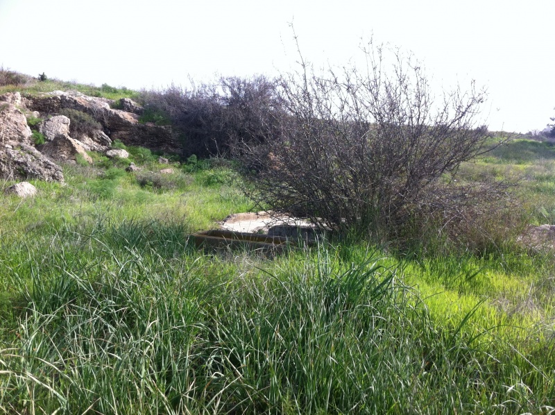 קובץ:2013.01.22-140915.319.iphone.jpg