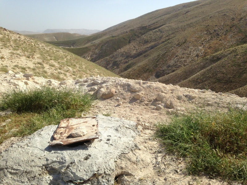 קובץ:2013.03.29-154348.369.iphone.jpg