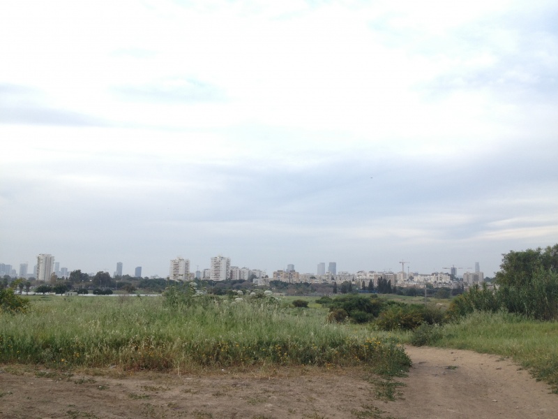 קובץ:2013.03.30-180924.239.iphone.jpg