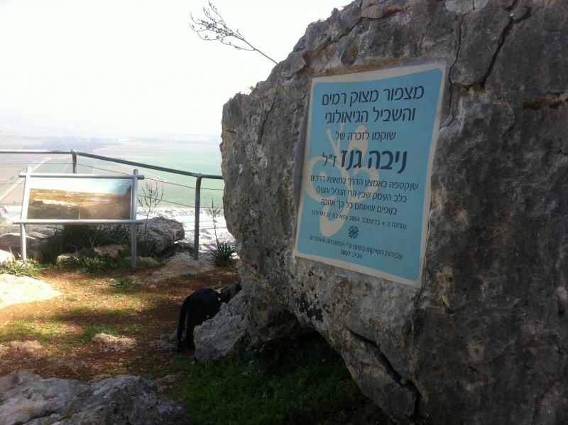 קובץ:2013.03.9-131626.27.iphone.jpg