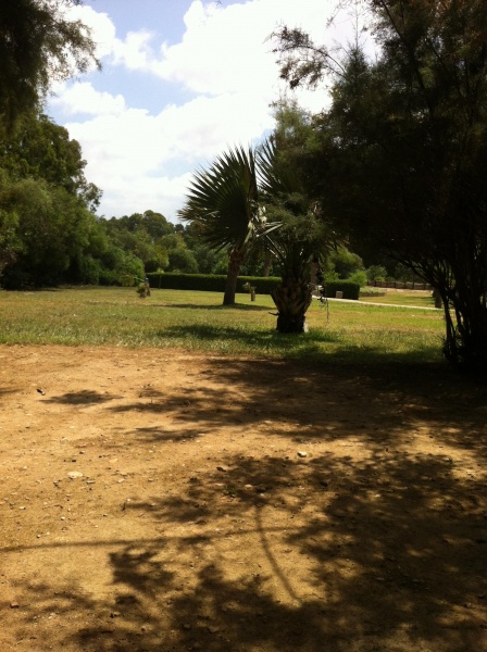 קובץ:2013.08.3-114332.358.iphone.jpg