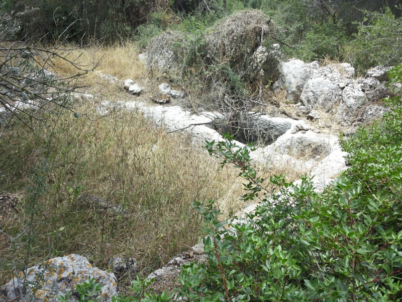 קובץ:2014.06.01-133432.745.android.jpg