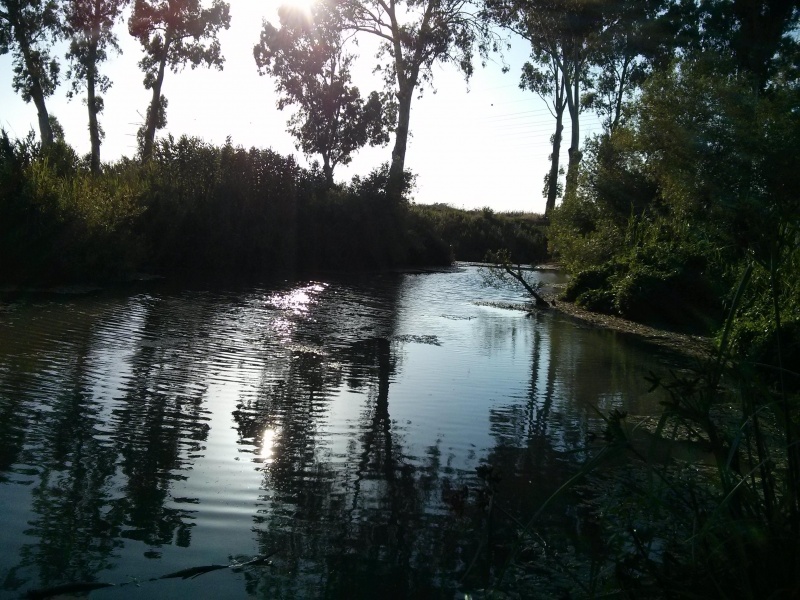 קובץ:2014.06.06-191345.411.android.jpg