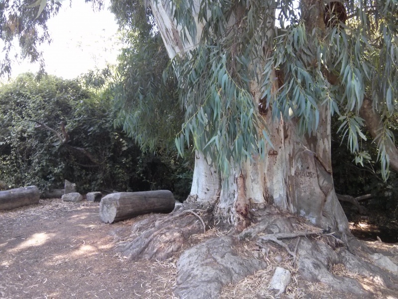 קובץ:2014.07.09-130803.527.android.jpg