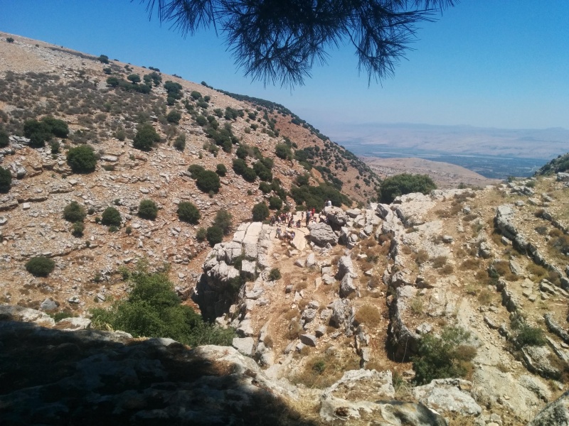 קובץ:2014.07.17-130913.405.android.jpg