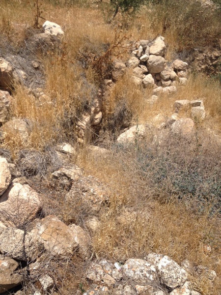 קובץ:2014.07.7-124548.665.iphone.jpg