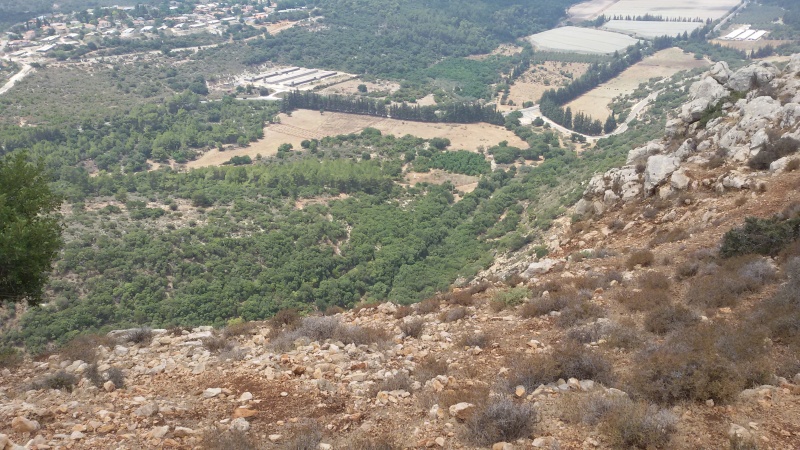 קובץ:2014.08.10-132942.719.android.jpg