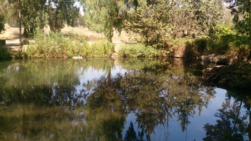 קובץ:2014.08.27-144926.878.android.jpg