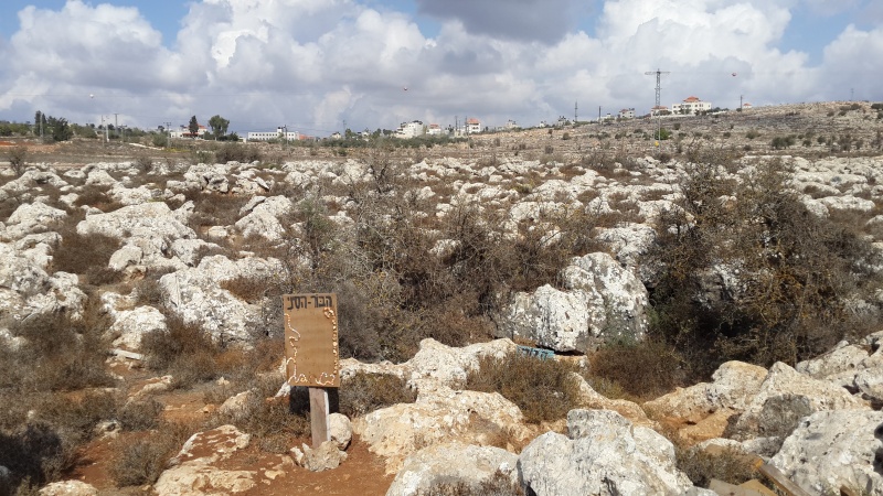 קובץ:2014.10.14-114403.609.android.jpg