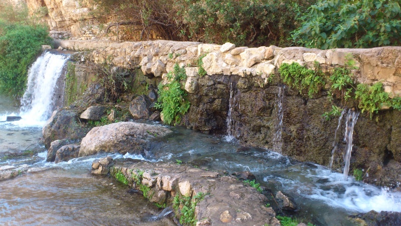 קובץ:2014 עין פרת עם ילדים 06.JPG