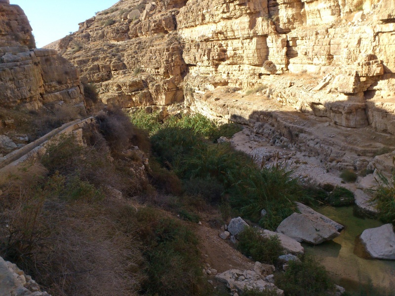 קובץ:2014 עין פרת עם ילדים 17.JPG