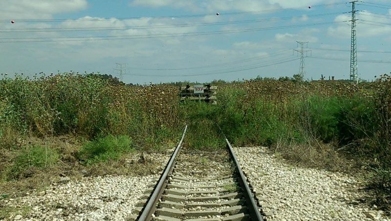 קובץ:2015-05-04 15.22.11.jpg