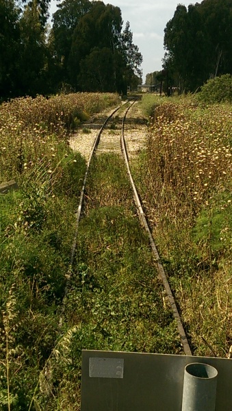 קובץ:2015-05-04 15.24.23.jpg