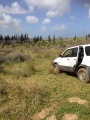 תמונה ממוזערת לגרסה מתאריך 15:29, 28 בפברואר 2015