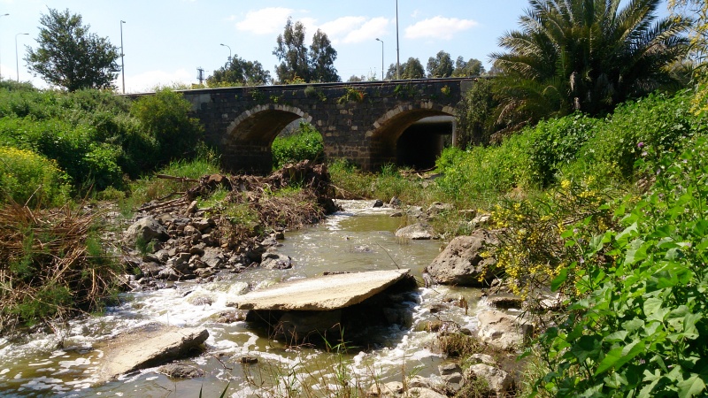 קובץ:2015.03.14-134921.217.android.jpg