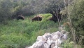 תמונה ממוזערת לגרסה מתאריך 11:39, 4 באפריל 2015