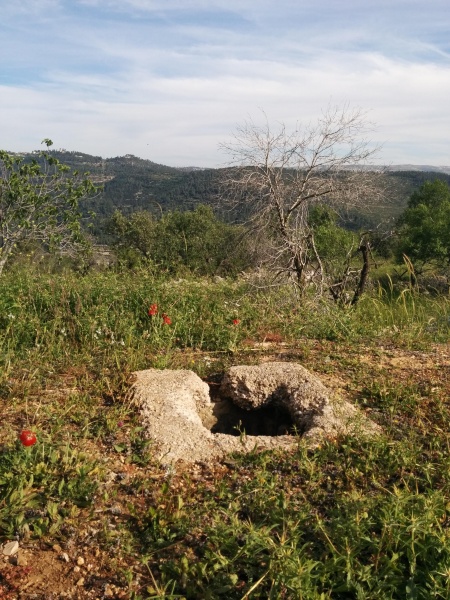 קובץ:2015.04.02-173238.579.android.jpg