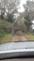 תמונה ממוזערת לגרסה מתאריך 08:33, 14 באפריל 2015