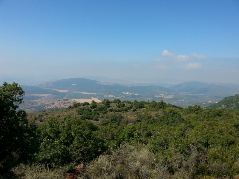 קובץ:2015.07.08-103846.383.android.jpg