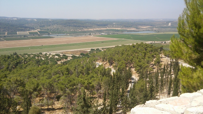 קובץ:2015.07.16-121042.937.android.jpg