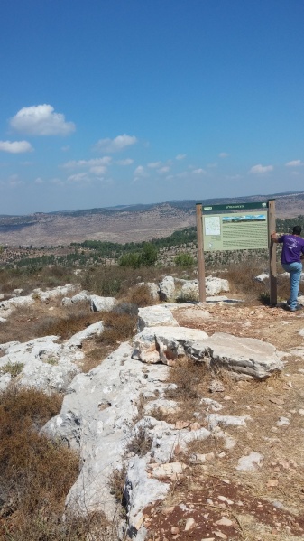 קובץ:2015.08.27-121334.301.android.jpg