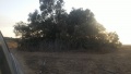 תמונה ממוזערת לגרסה מתאריך 08:23, 13 בספטמבר 2015