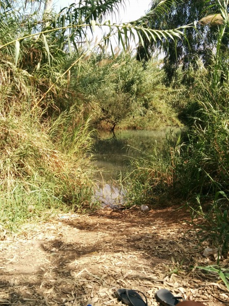 קובץ:2015.10.05-143656.591.android.jpg