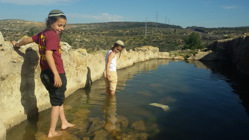 קובץ:20150205 141010.jpg