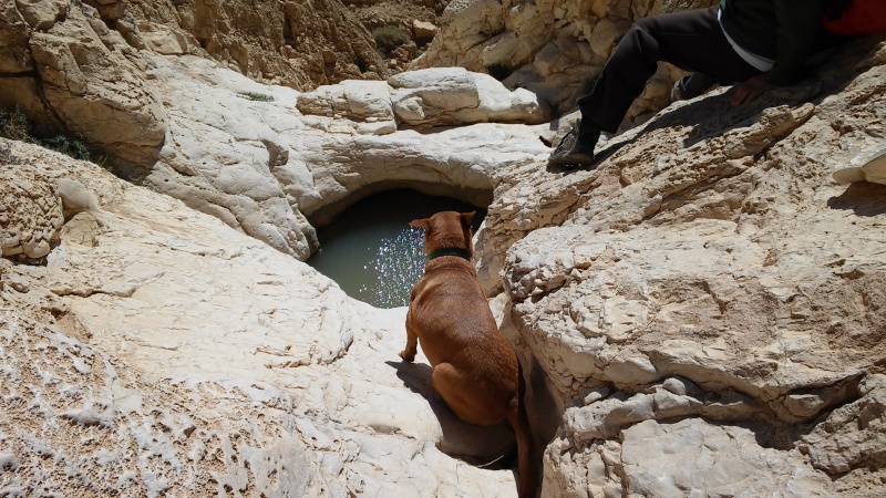 קובץ:20150213 124601.jpg