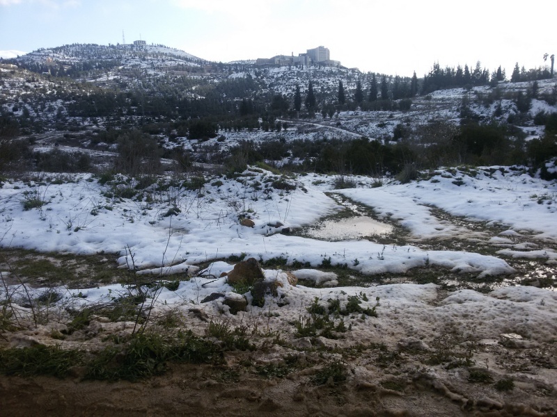 קובץ:2015 שלג ריצה בית זית 09.jpg