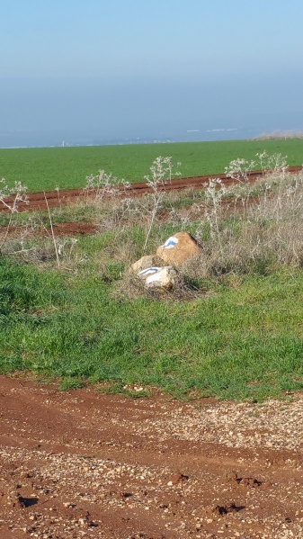 קובץ:2016.02.09-095934.957.android.jpg