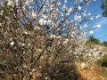 תמונה ממוזערת לגרסה מתאריך 19:53, 12 בפברואר 2016