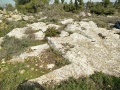 תמונה ממוזערת לגרסה מתאריך 08:51, 13 בפברואר 2016