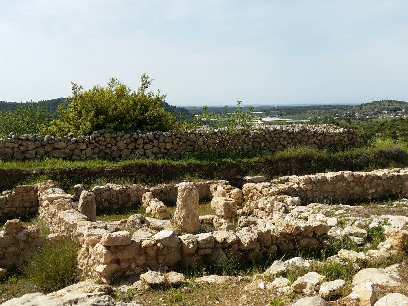 קובץ:2016.03.19-145856.980.android.jpg