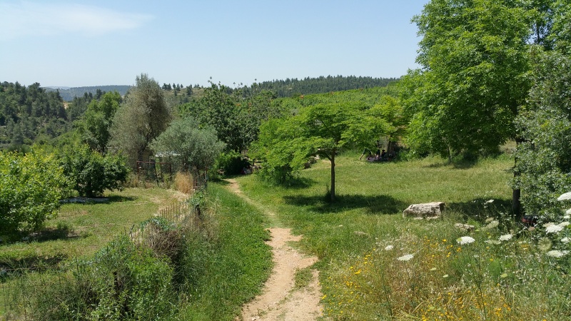 קובץ:2016.04.24-125330.815.android.jpg