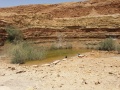 תמונה ממוזערת לגרסה מתאריך 11:00, 30 באפריל 2016