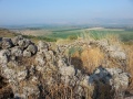 תמונה ממוזערת לגרסה מתאריך 05:43, 4 ביולי 2016