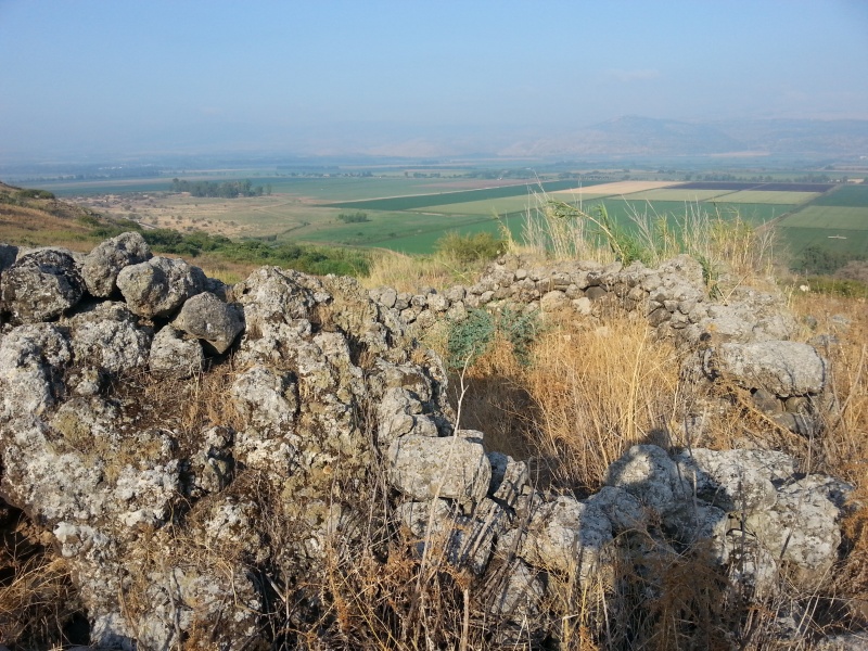 קובץ:2016.07.04-083312.351.android.jpg